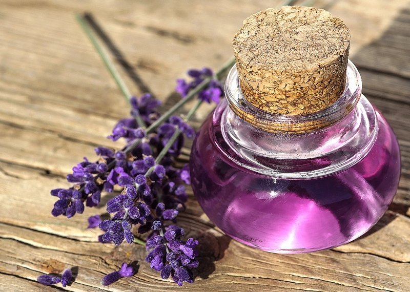 Lavender Essential Oil