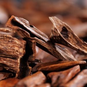 Sandalwood Essential Oil