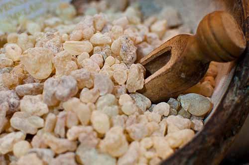 Frankincense