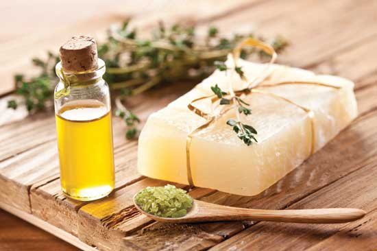 Tea tree oil Uses and benefits for health