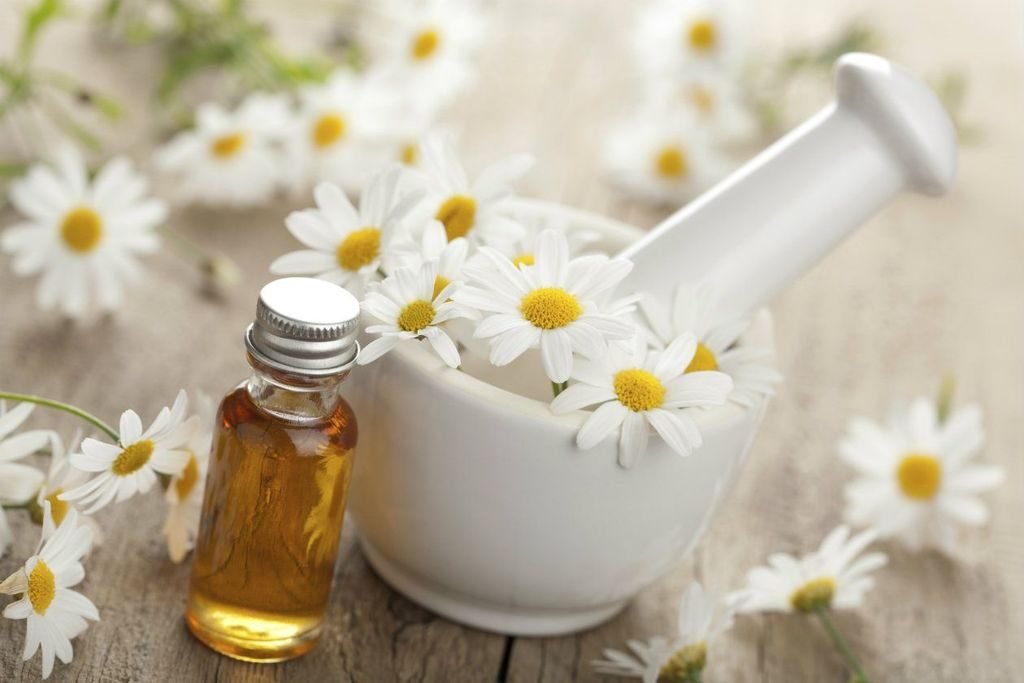 Chamomile Essential Oil Uses and Benefits