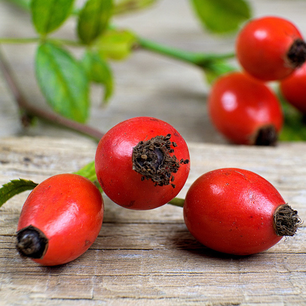Rosehip Oil Benefits