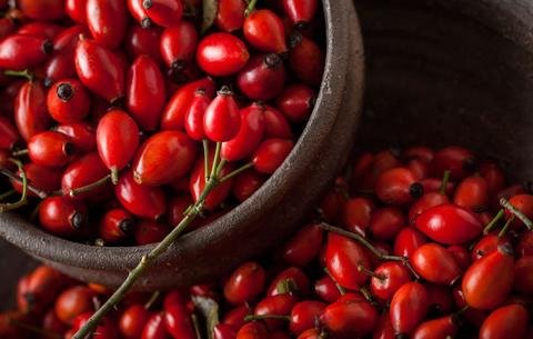 Rosehip Oil Uses and Benefits