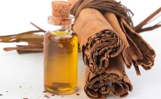 Cinnamon essential oil