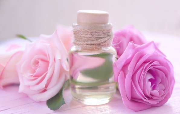 Rose Essential Oil Uses and Benefits