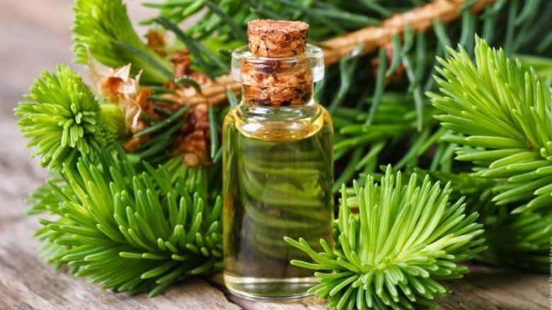 Pine Essential Oil Uses and Benefits for Health