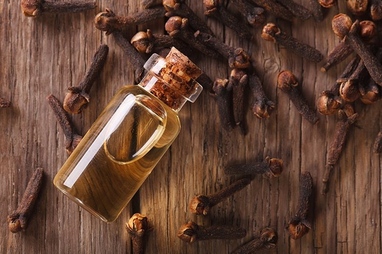 Clove Essential Oil Uses and Benefits for health