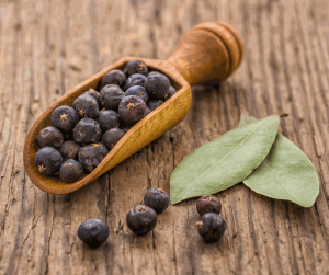 Juniper Berry Oil