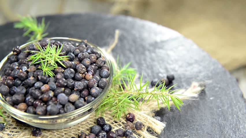 Juniper Essential Oil