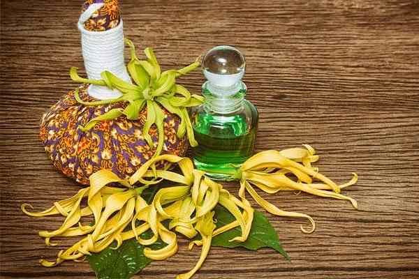Ylang Ylang Essential Oil