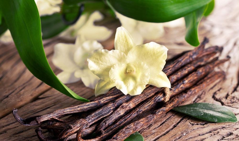 Vanilla Essential Oil