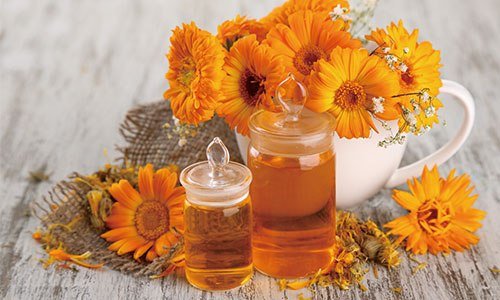 Calendula Essential Oil
