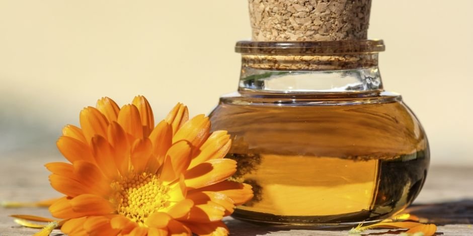 Calendula Essential Oil