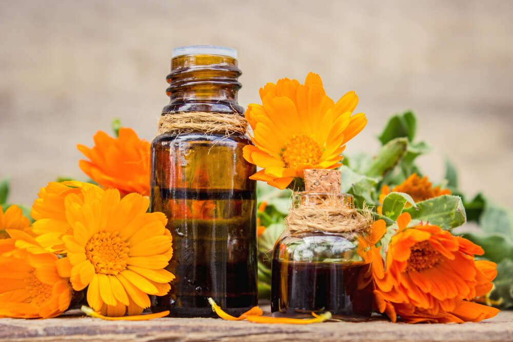 Calendula Essential Oil Benefits, Uses and Warnings - Everphi EverPhi