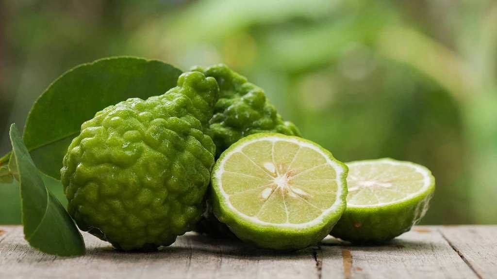 Bergamot Essential Oil