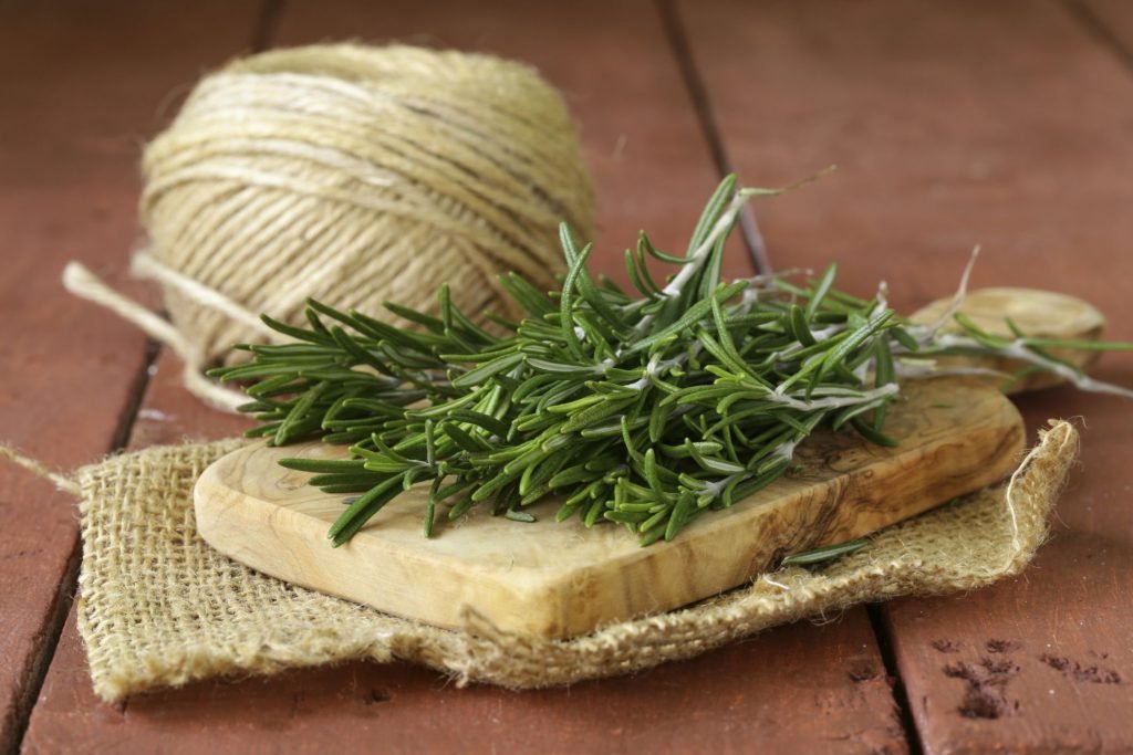 Rosemary Essential Oil Benefits and Uses