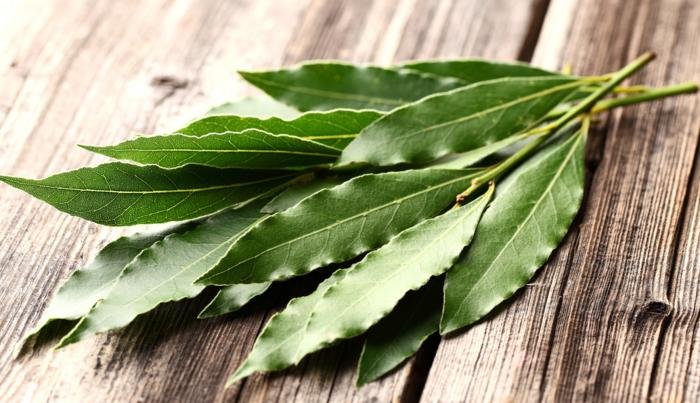 Eucalyptus Essential Oil Uses and Benefits for Health