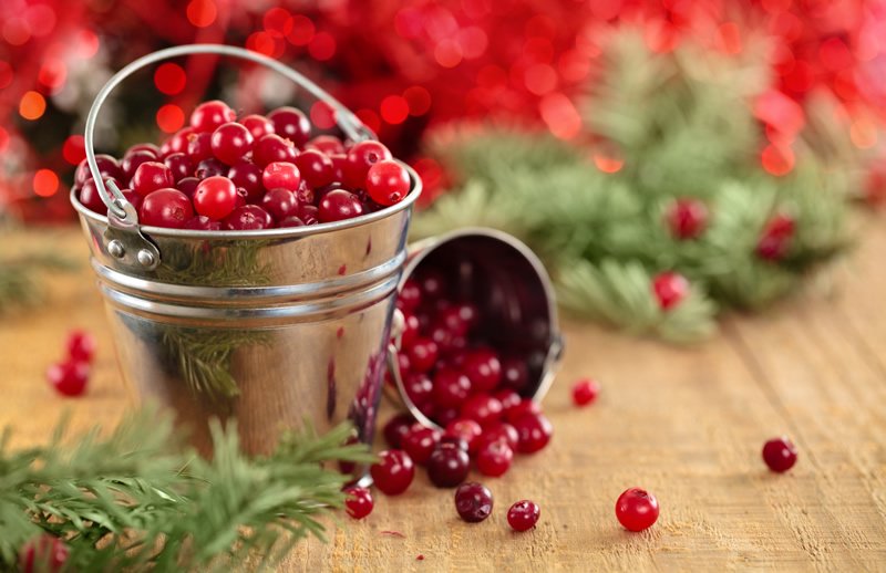 Wintergreen Essential Oil Uses and Benefits