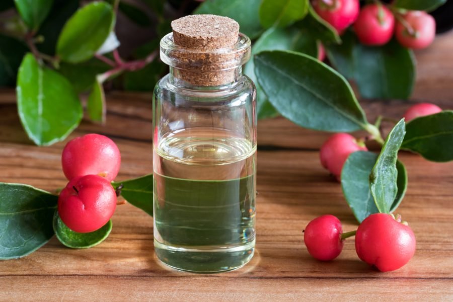 Wintergreen Essential Oil Uses, Benefits and Warnings