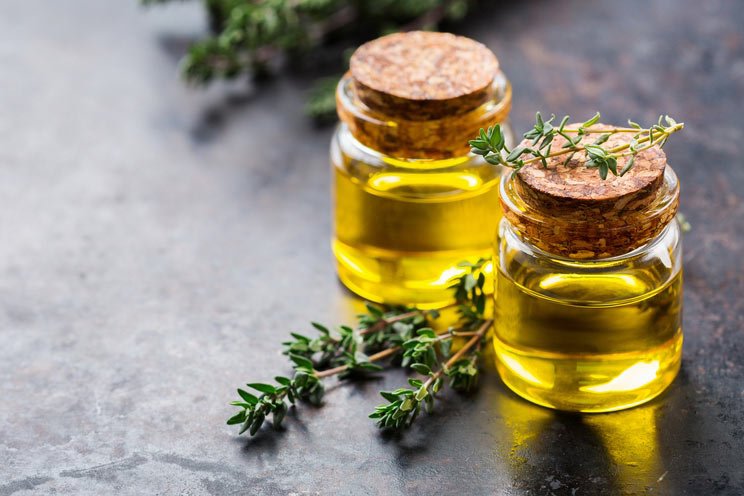 Thyme Essential Oil Uses, Benefits and Warnings