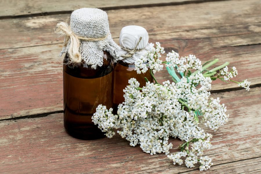 Yarrow Essential Oil Uses, Benefits and Warnings