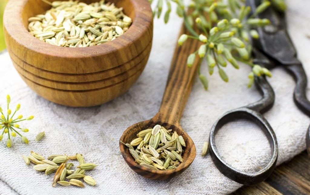 Fennel Essential Oil Uses and Benefits for Health