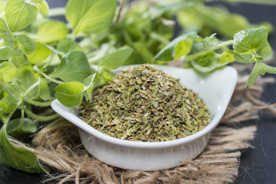 Oregano Essential Oil Uses and Benefits