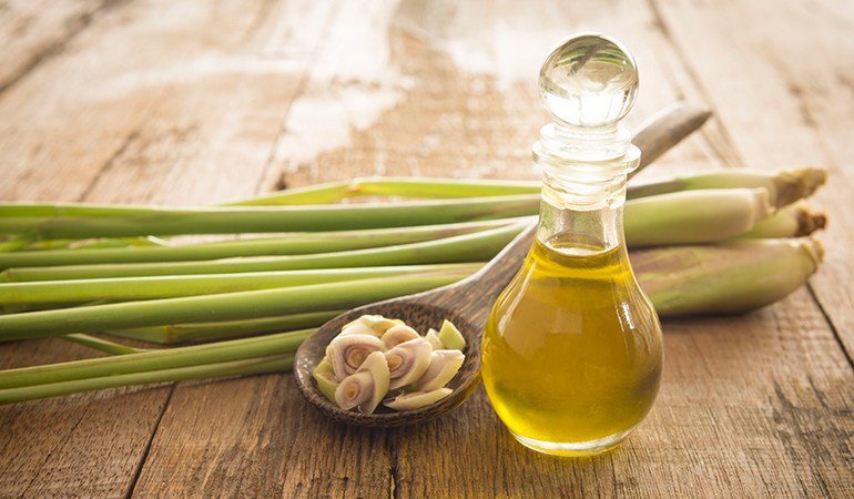 Lemongrass Essential Oil Uses, Benefits and Warnings