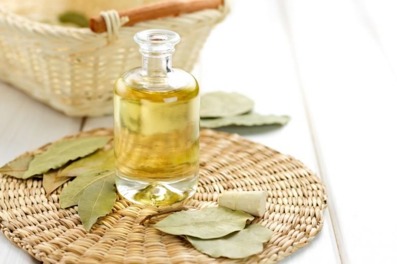 Laurel Essential Oil Uses and Benefits for Health