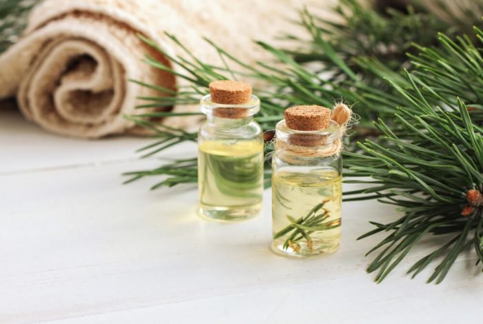 Pine Essential Oil Uses and Benefits for Health