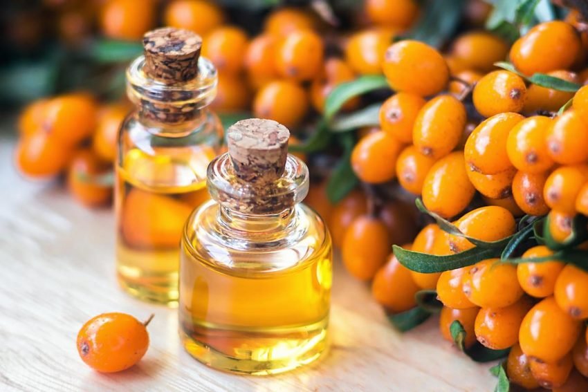 Sea Buckthorn Oil and its Many Benefits for Health and Skin
