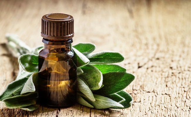 Sage Essential Oil Uses and Benefits