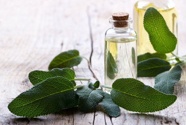 Sage Essential Oil Uses and Benefits for Health