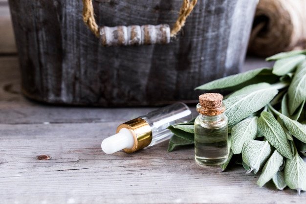 Sage Essential Oil Uses and Benefits for Health